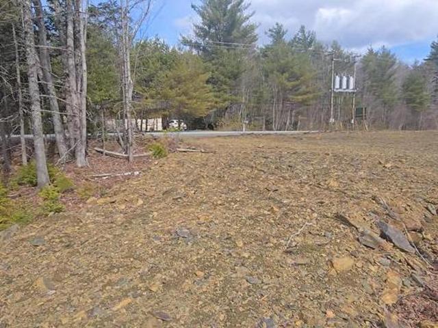 Land for sale in Midville Branch, Nova Scotia
