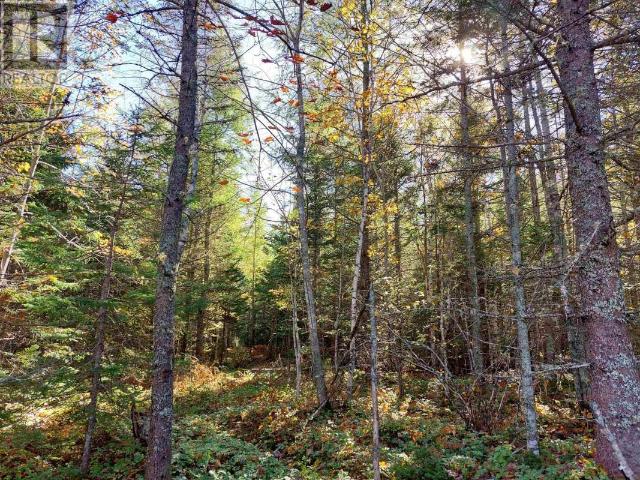Land for sale in Cleveland, Nova Scotia