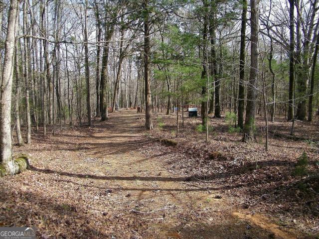 Land for sale in Elberton, Elbert County