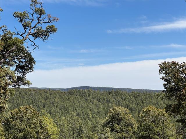 Land for sale in Pecos, New Mexico
