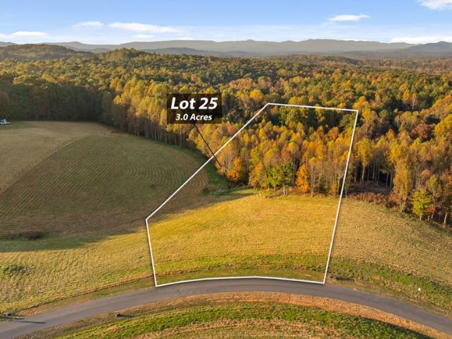 Land for sale in Gilmer, Georgia