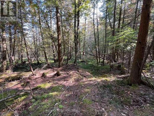 Land for sale in Tiny, Ontario