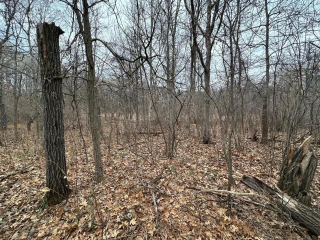 Land for sale in Crosslake, Minnesota