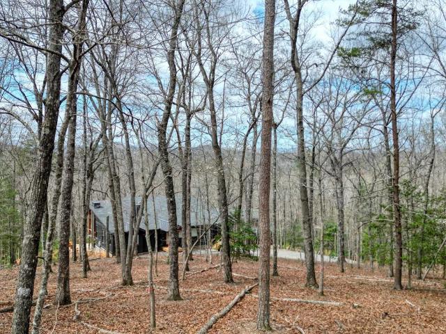 Land for sale in Georgia
