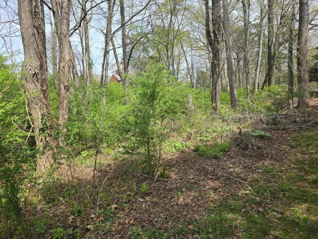 Land for sale in Tuscumbia, Alabama