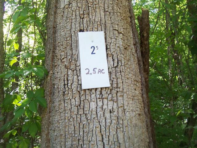 Land for sale in Tennessee