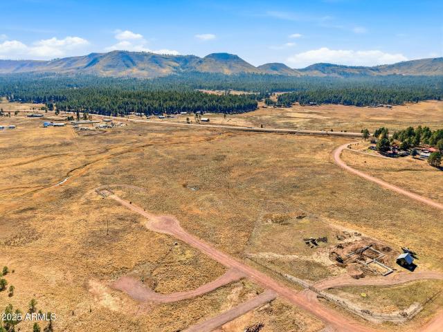 Land for sale in Alpine, Arizona