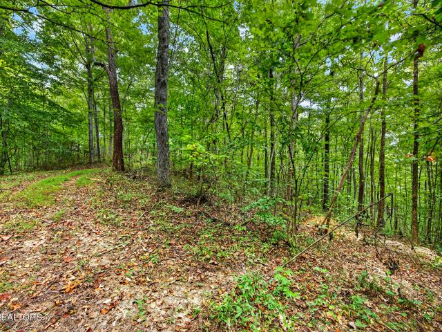 Land for sale in Neely Crossroads, Celina