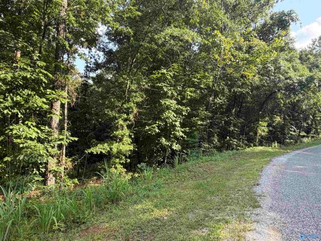 Land for sale in Leesburg, Alabama