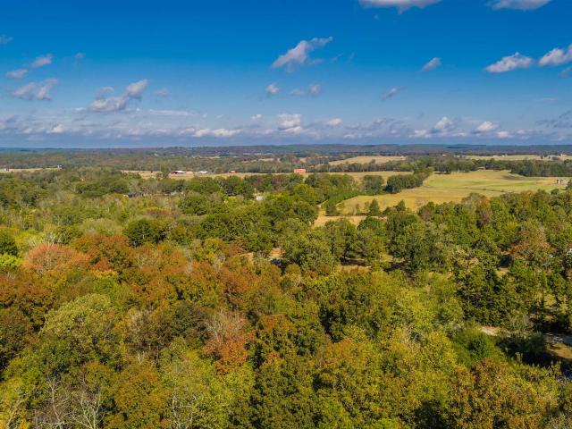 Land for sale in Quitman, Cleburne County