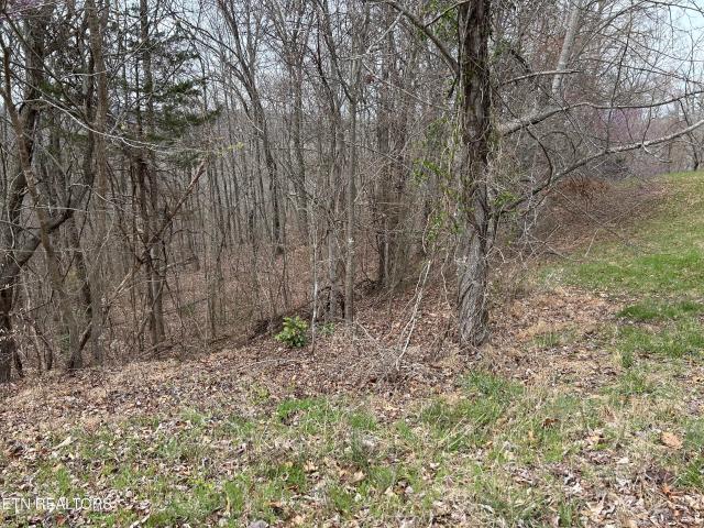 Land for sale in Tennessee