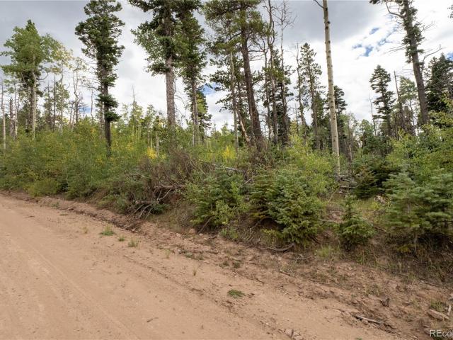 Land for sale in Fort Garland, Colorado
