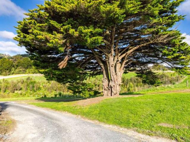 Property for sale in Maungaturoto, Northland