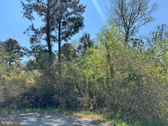 Land for sale in Virginia
