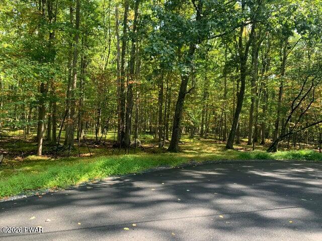 Land for sale in Beach Lake, Pennsylvania