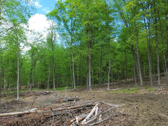 Land for sale in New Hampshire