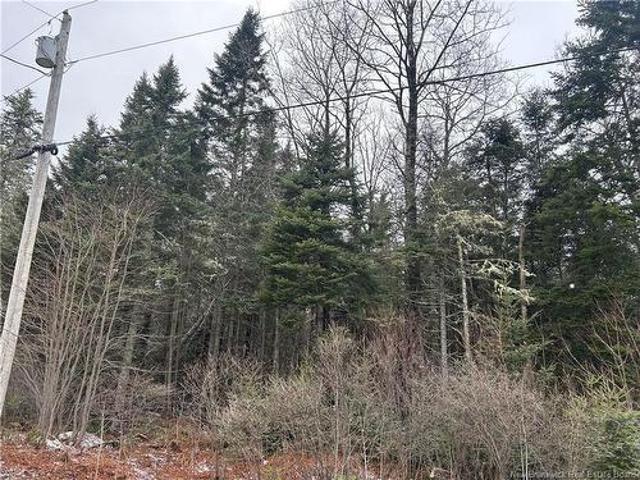 Land for sale in New Brunswick