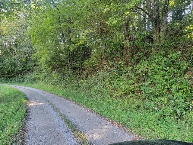 Land for sale in Peden, Alleghany County