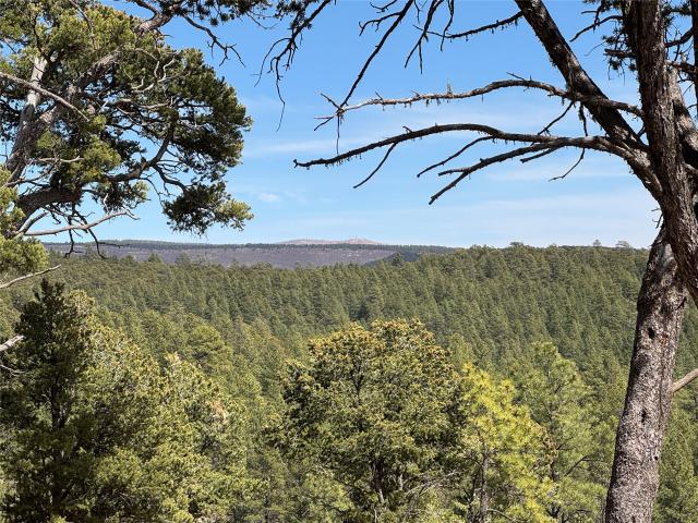 Land for sale in Pecos, New Mexico