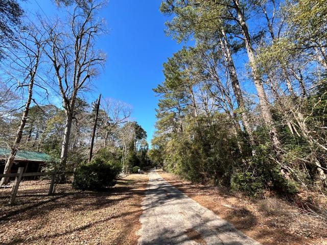 Land for sale in Ivanhoe, Texas