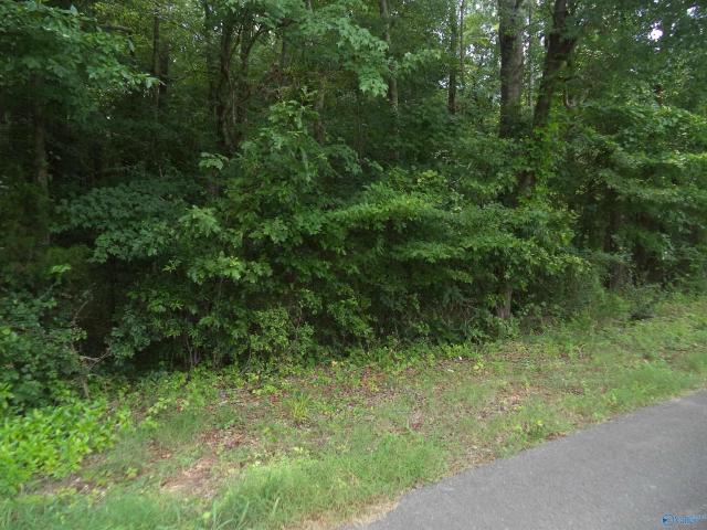 Land for sale in Hazel Green, Alabama