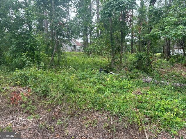 Land for sale in Lowndes, Georgia