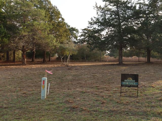 Land for sale in New Ulm, Texas
