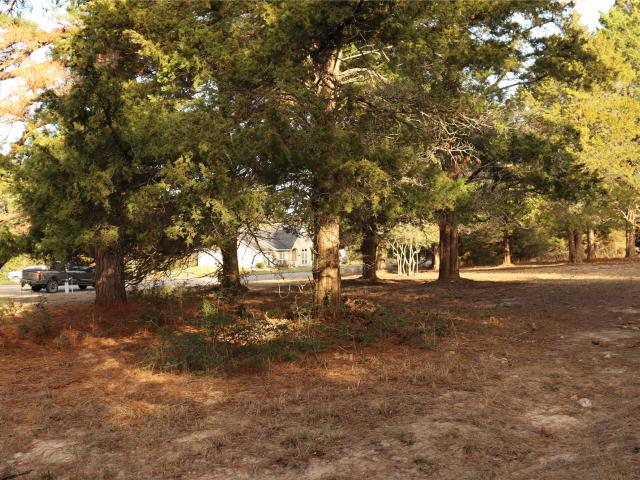 Land for sale in New Ulm, Texas