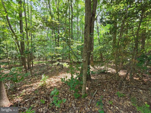 Land for sale in Virginia