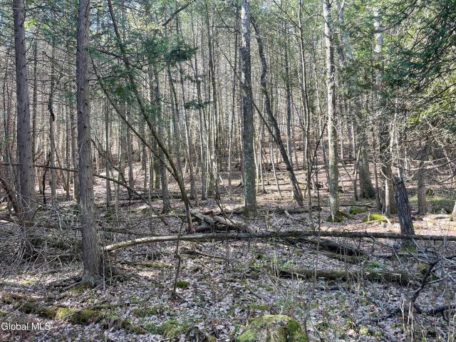 Land for sale in Carlisle, New York