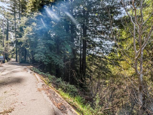 Land for sale in Felton