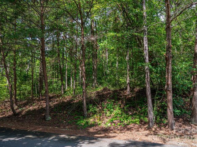 Land for sale in Rutherford, North Carolina