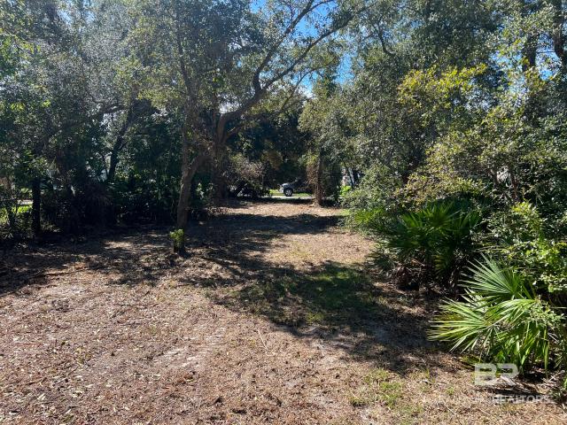 Land for sale in Gulf Shores, Baldwin County