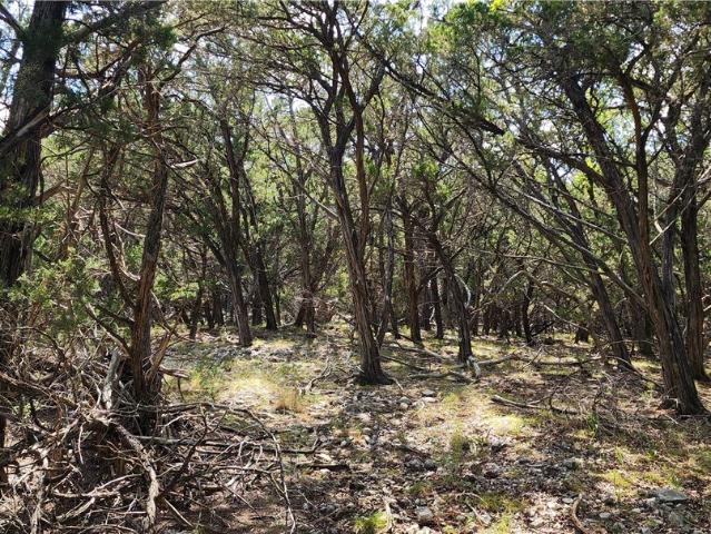 Property for sale in Pipe Creek, Texas
