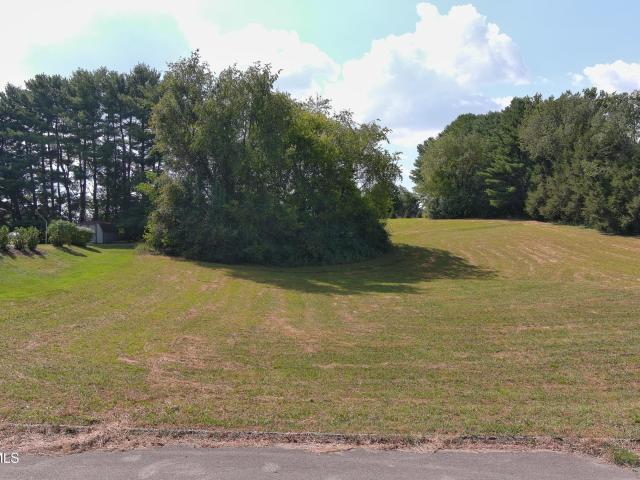 Land for sale in Brumley Heights, Greeneville