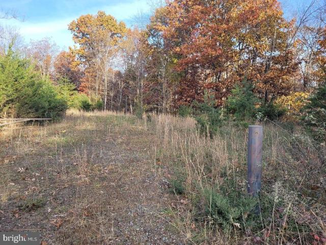Land for sale in Paw Paw, West Virginia