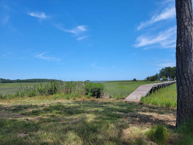 Land for sale in Virginia