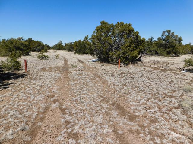Land for sale in Catron, New Mexico