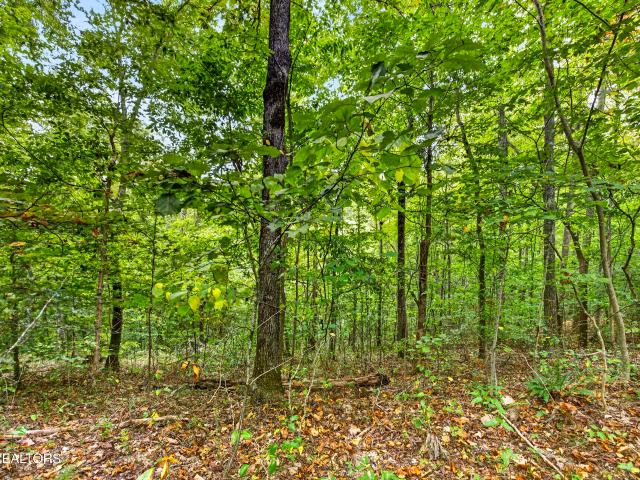 Land for sale in Neely Crossroads, Celina