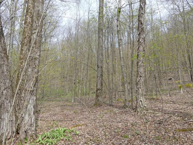 Land for sale in Andes, New York