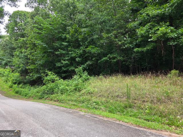Land for sale in Lavonia, Georgia