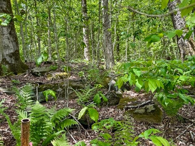 Land for sale in Berkshire, Massachusetts