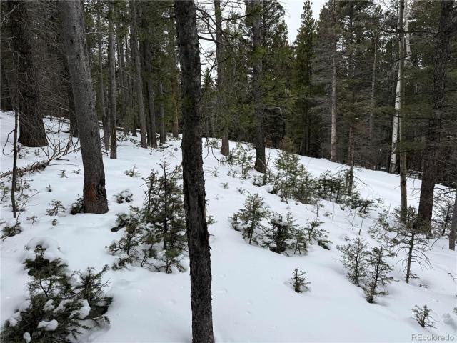 Land for sale in Fort Garland, Colorado