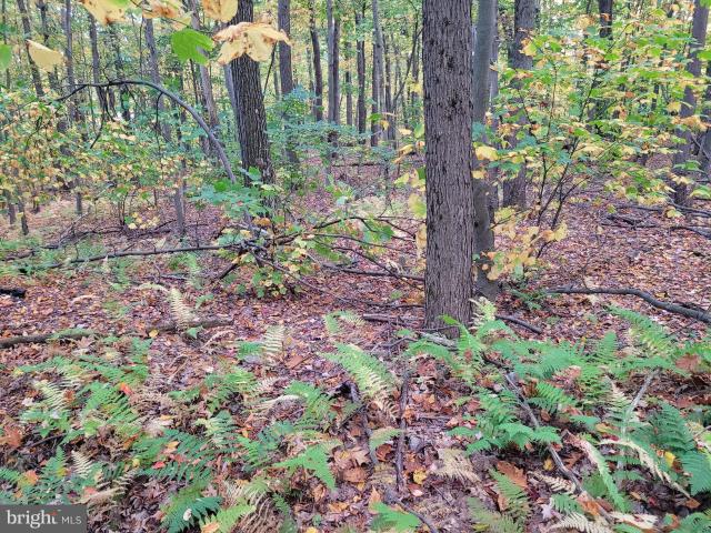 Land for sale in Blair, Pennsylvania