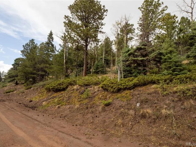 Land for sale in Fort Garland, Colorado