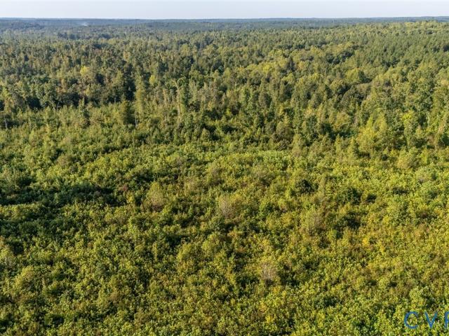 Land for sale in Oliveville, Nottoway
