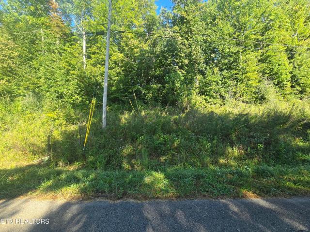 Land for sale in Tennessee
