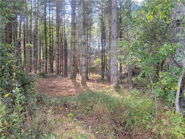 Land for sale in Alleghany, North Carolina