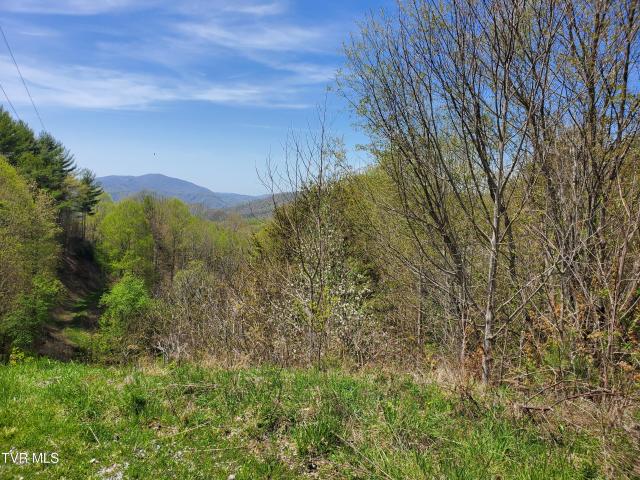 Land for sale in Roan Mountain, East Tennessee