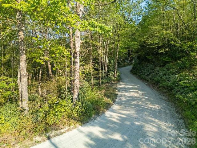 Land for sale in Transylvania, North Carolina